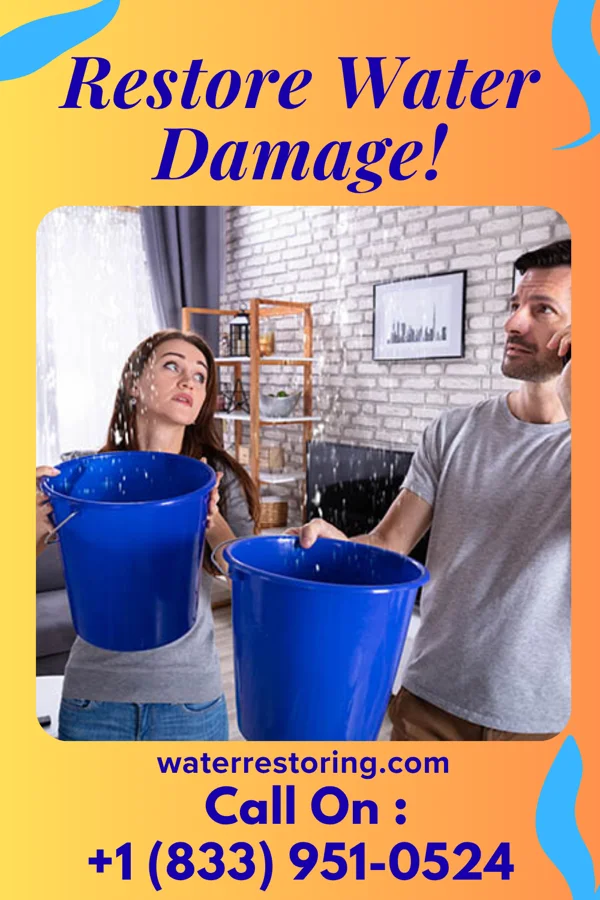 water restoration National Disaster Cleanup Pros Beaumont