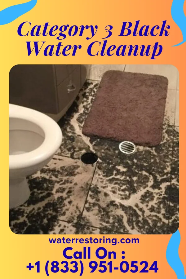Category 3 Black Water Cleanup in Beaumont, MS